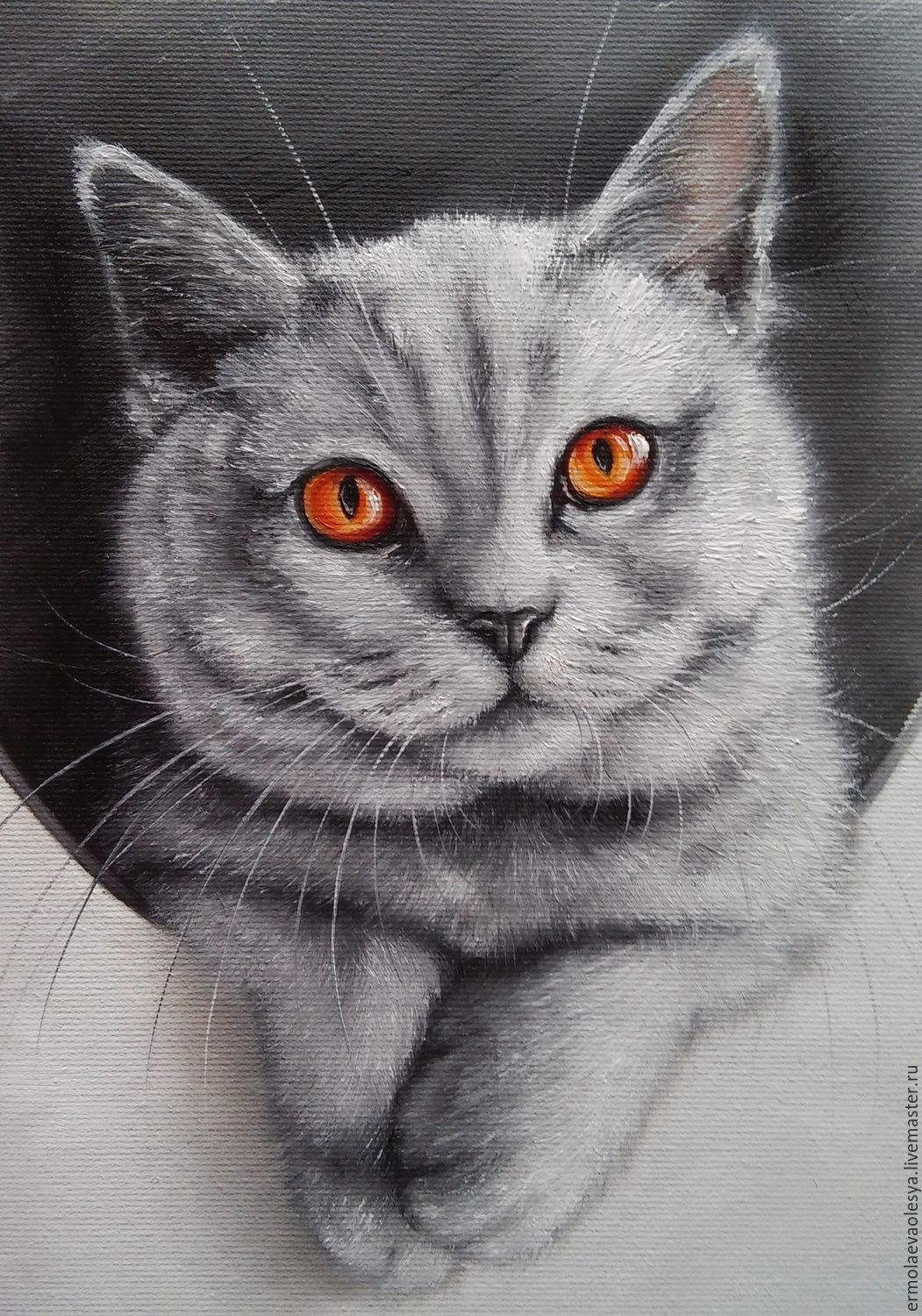Фото рисунка кошки. Коты карандашом. Британец карандашом. Британская кошка карандашом. Серые рисунки.