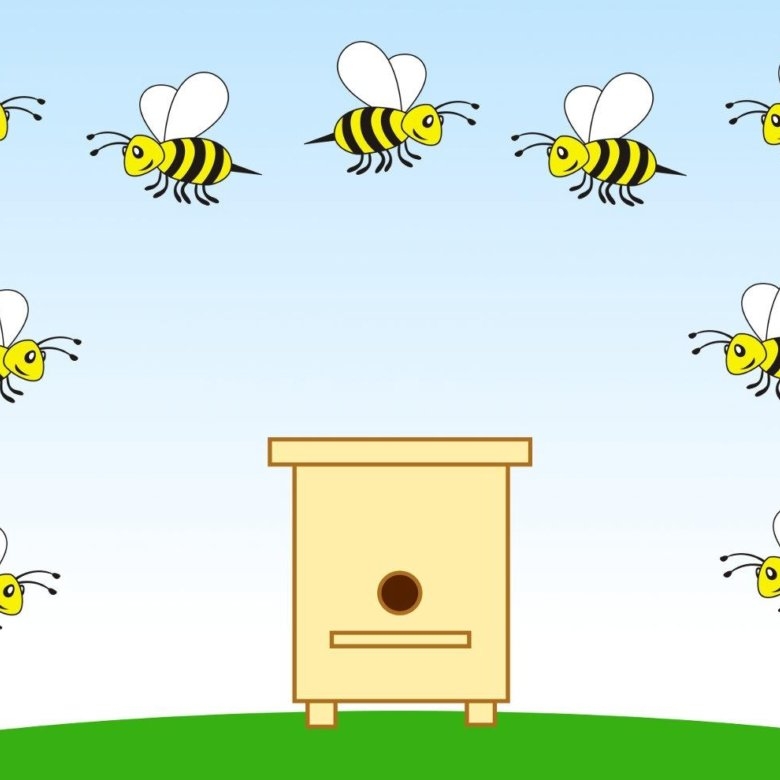 Пчелиный улей рисунок
