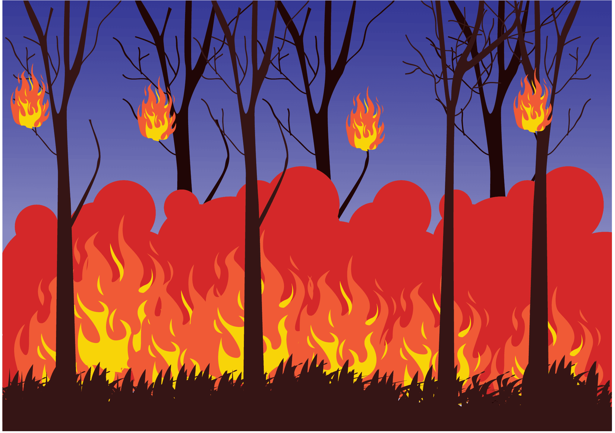 Лесной пожар страшное бедствие рисунок (65 фото)