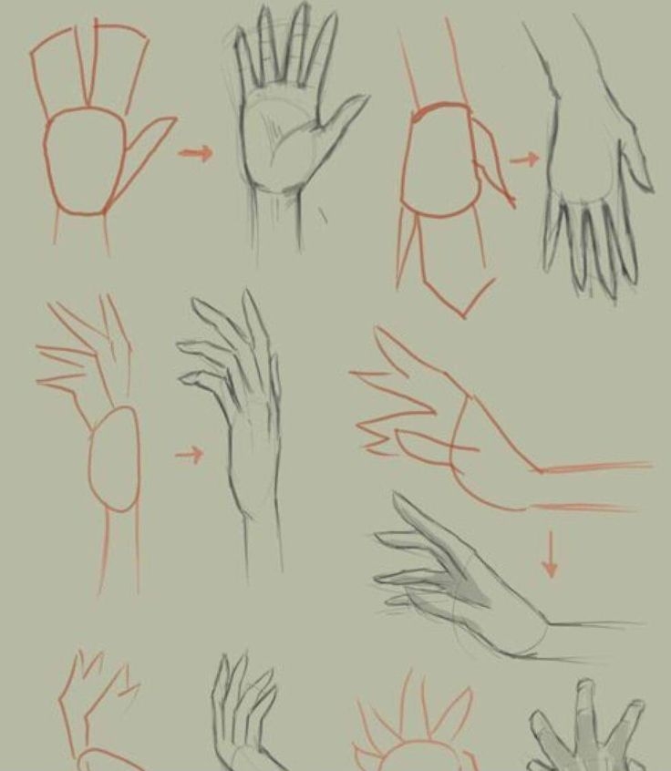 Как нарисовать кисть руки аниме