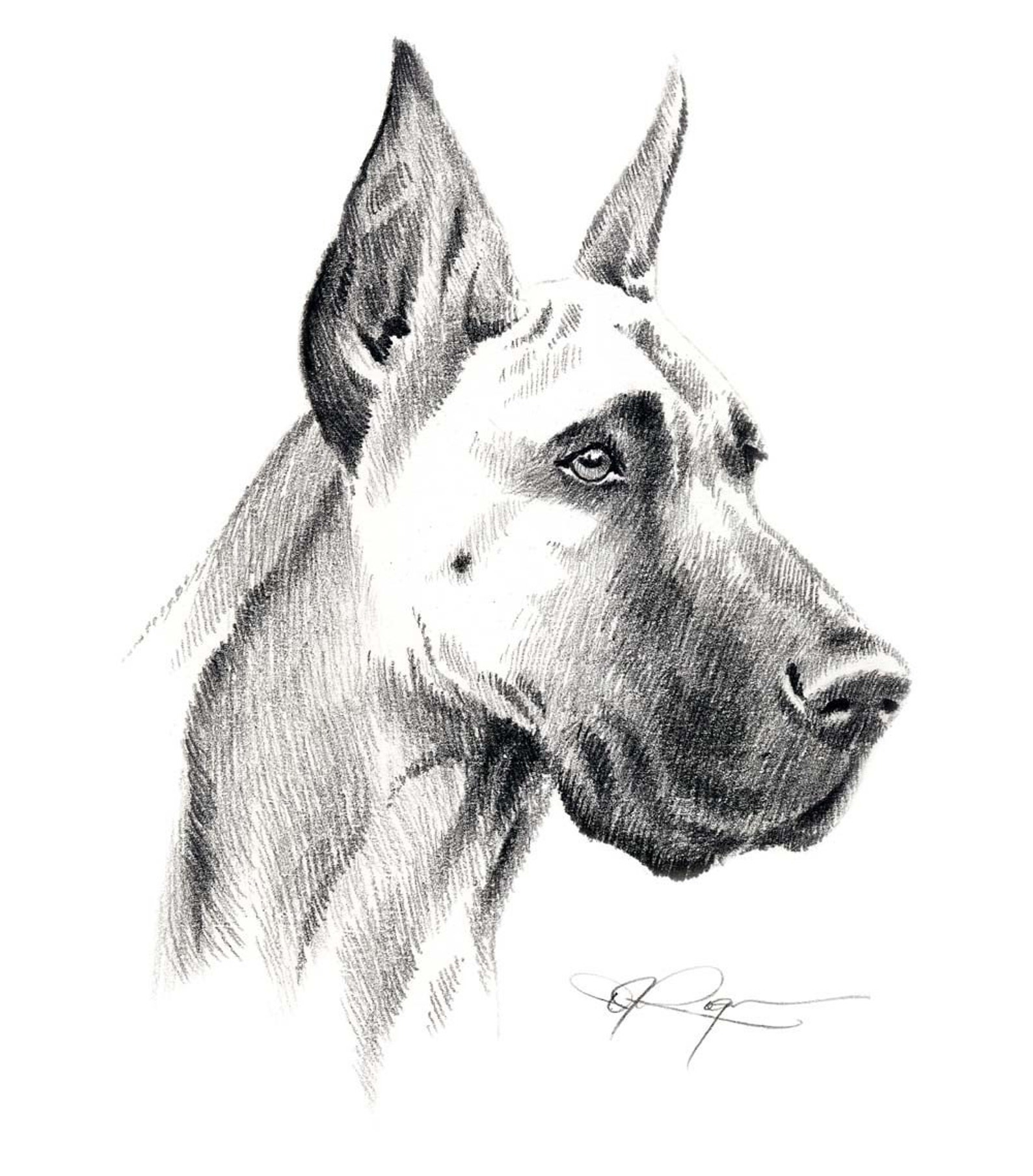 Как рисовать дог дея. Собака карандашом. Портрет собаки карандашом. Собака рисунок карандашом. Дог карандашом.