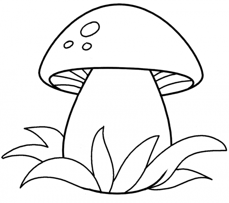 Раскраска грибочки для детей
