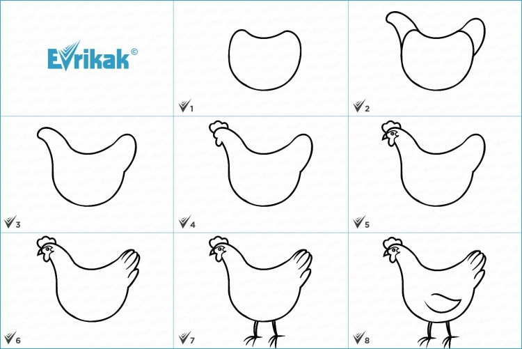Как легко нарисовать курицу