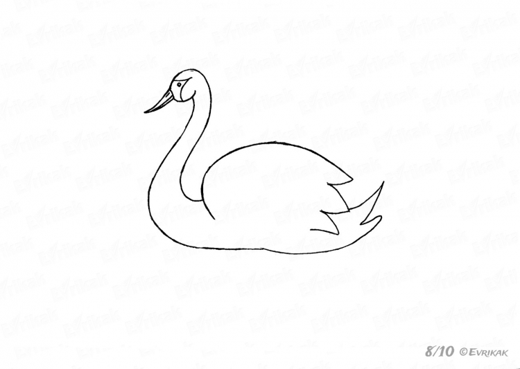 Лебедь рисунок
