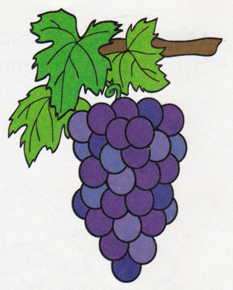 Нарисовать виноград