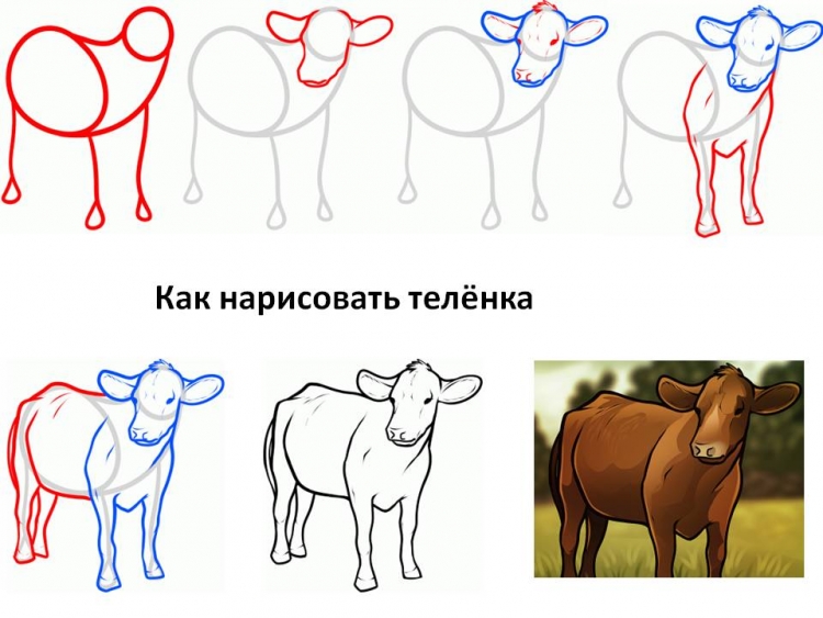 Рисование домашних животных