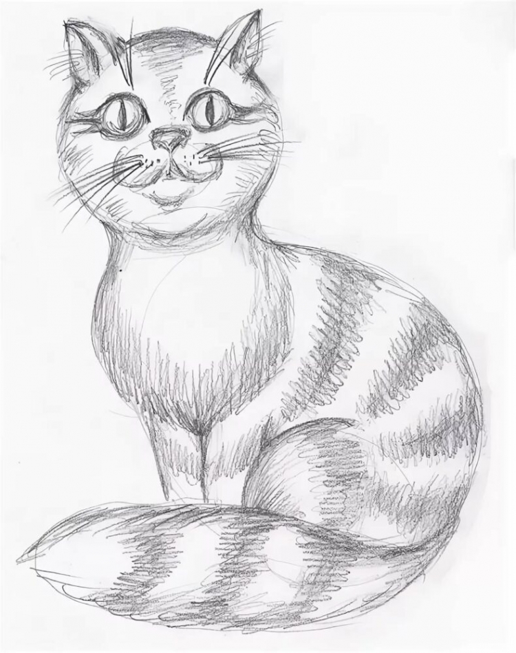 Кошка рисунок