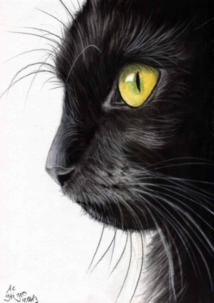 Как нарисовать черного кота