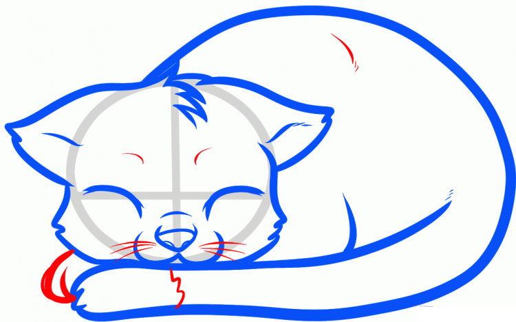 Как нарисовать спящего кота