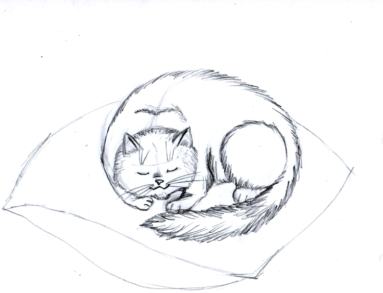 Спящий кот