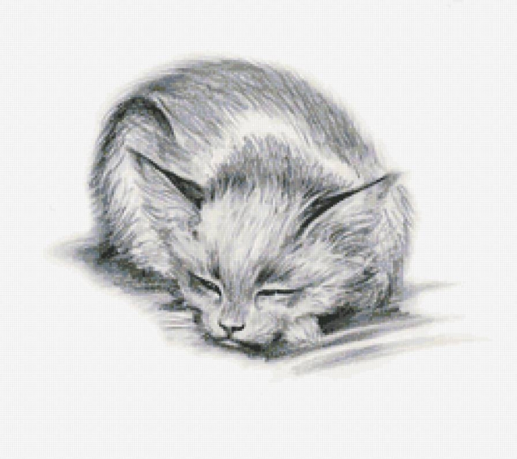 Рисунки котята милые и смешные для срисовки