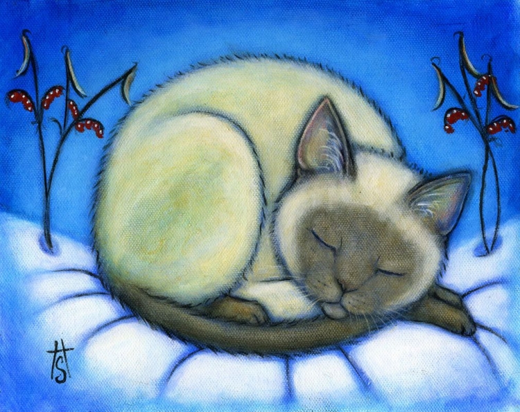 Спящий кот рисунок