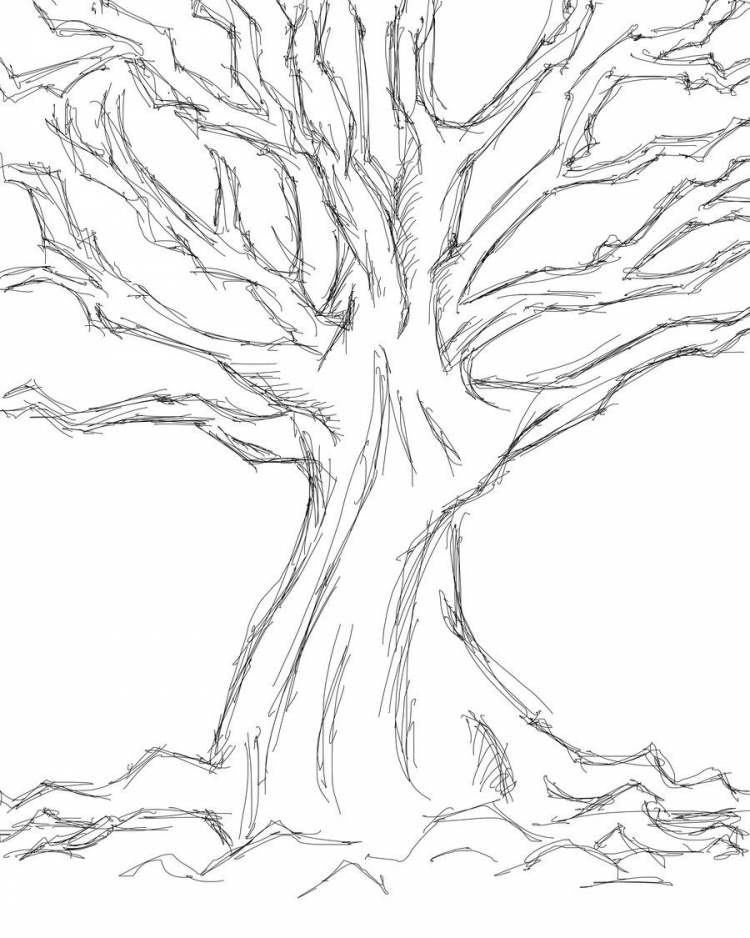 Как нарисовать ствол дерева