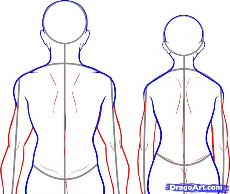 Как нарисовать человека со спины