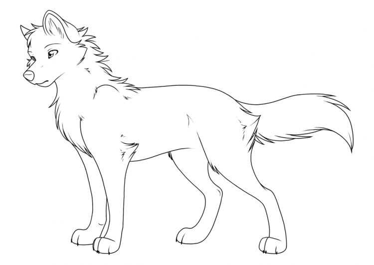 Как нарисовать волчицу