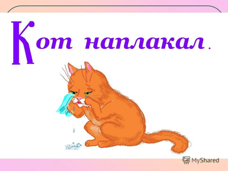 Нарисовать фразеологизм кот наплакал