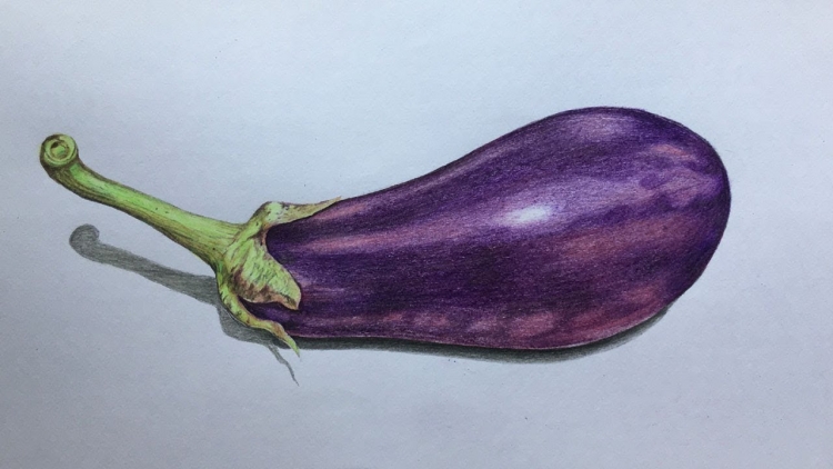 Баклажан цветными карандашами
