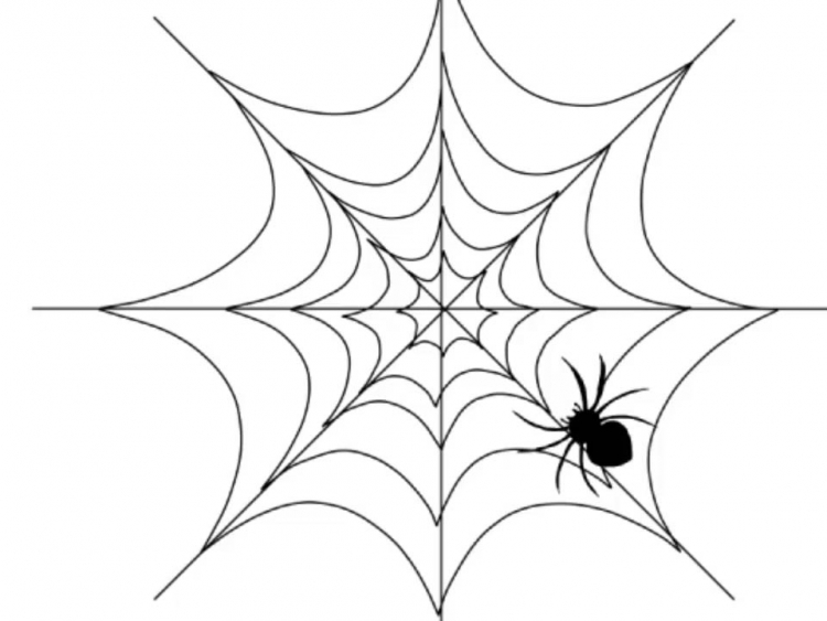 Как нарисовать паука на паутине
