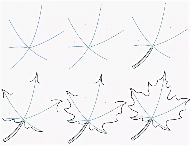 Как нарисовать кленовый листок