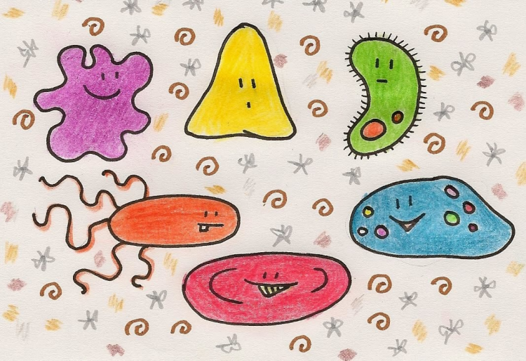 Как нарисовать бактерии карандашом