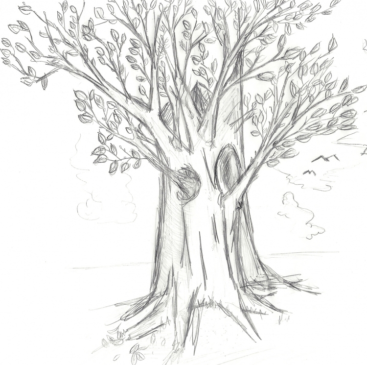 Как нарисовать дерево осенью карандашом