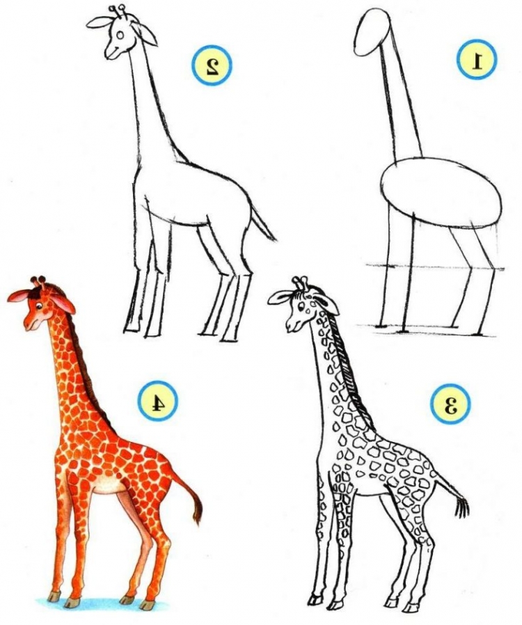 Как нарисовать жирафа ребенку