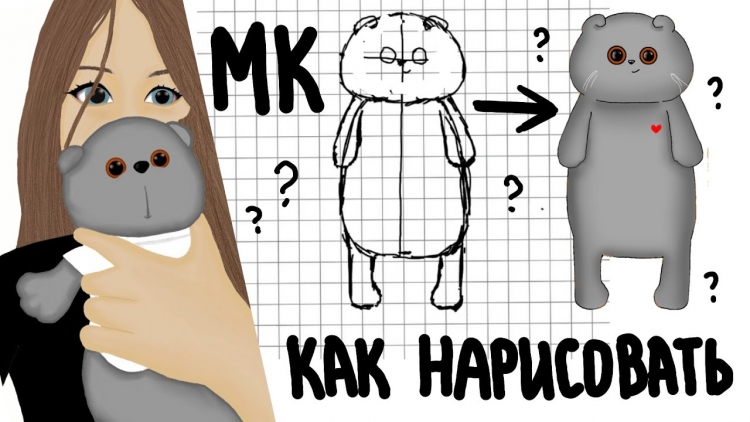Basic co кот Басик