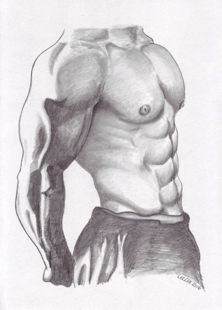 Как нарисовать мускулы