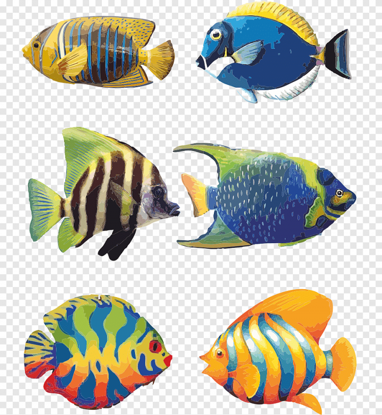 Аквариумные рыбки картинки для детей