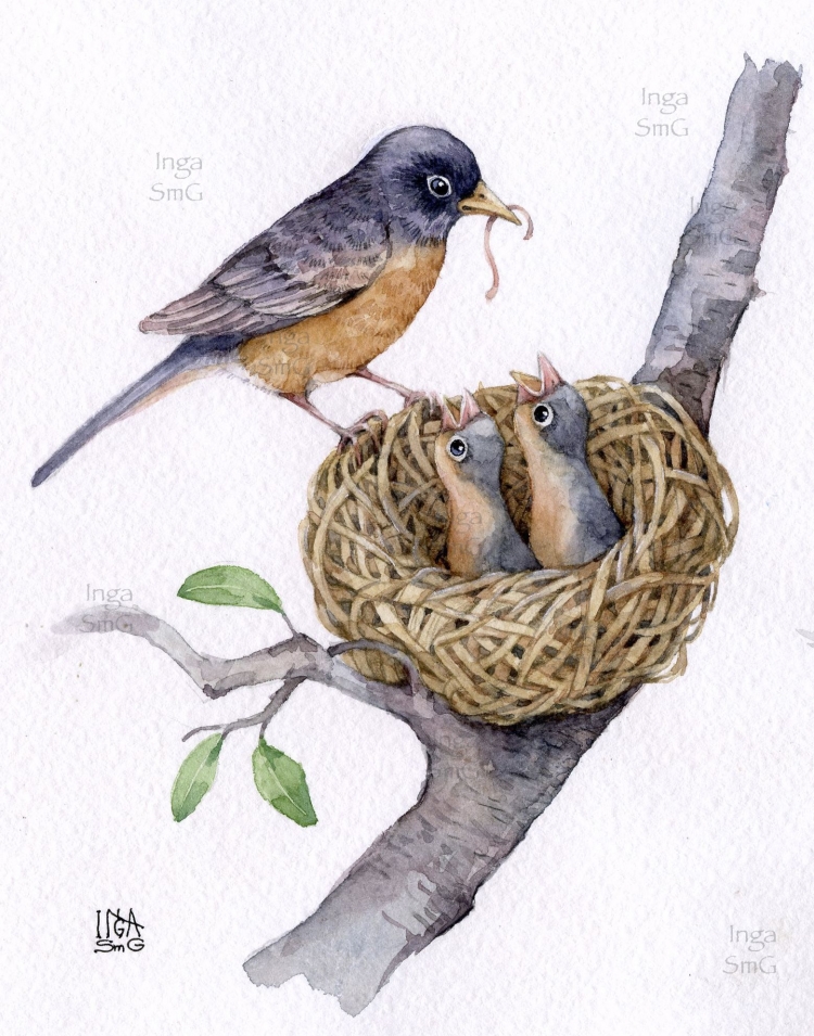 Картинки гнезда птиц для детей