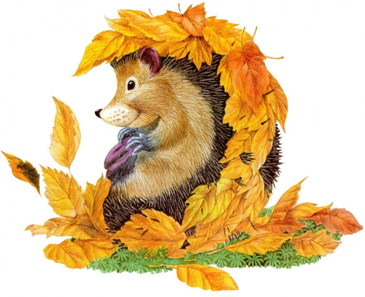 Картинки для детей на тему осень