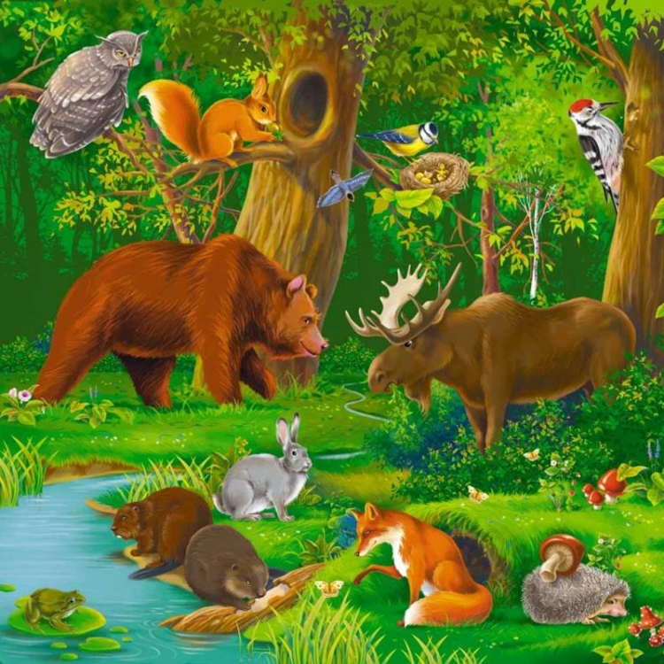 Картинки диких лесных животных для детей