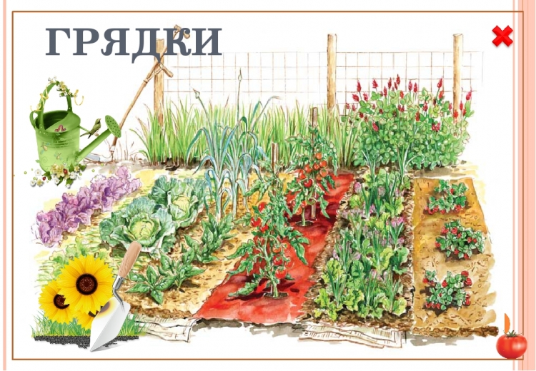 Огород с овощами для детей