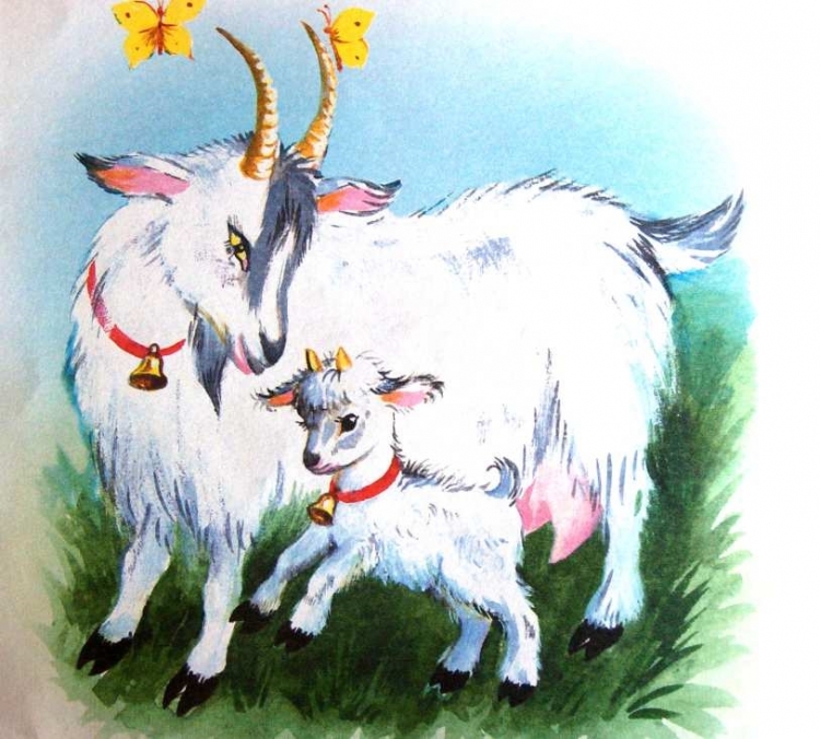 Коза и козленок картинки для детей