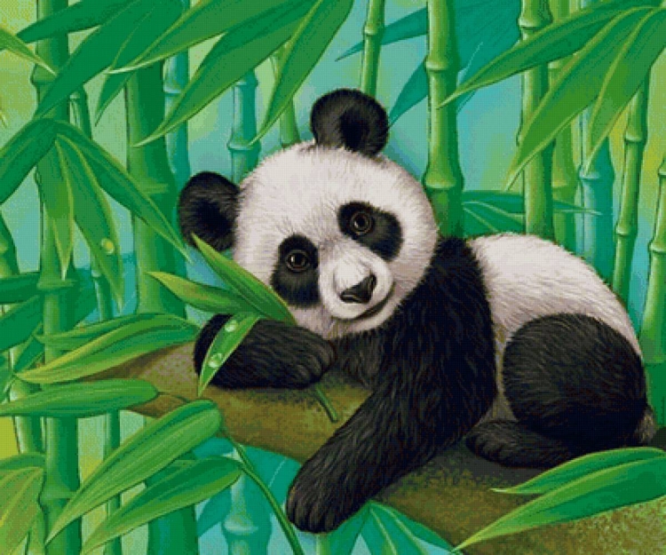 Как нарисовать панду на бамбуке