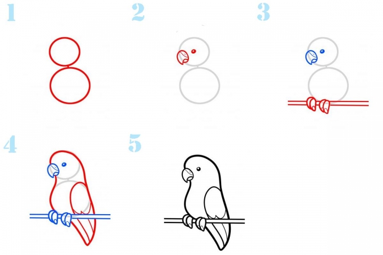 Как нарисовать попугая пошагово