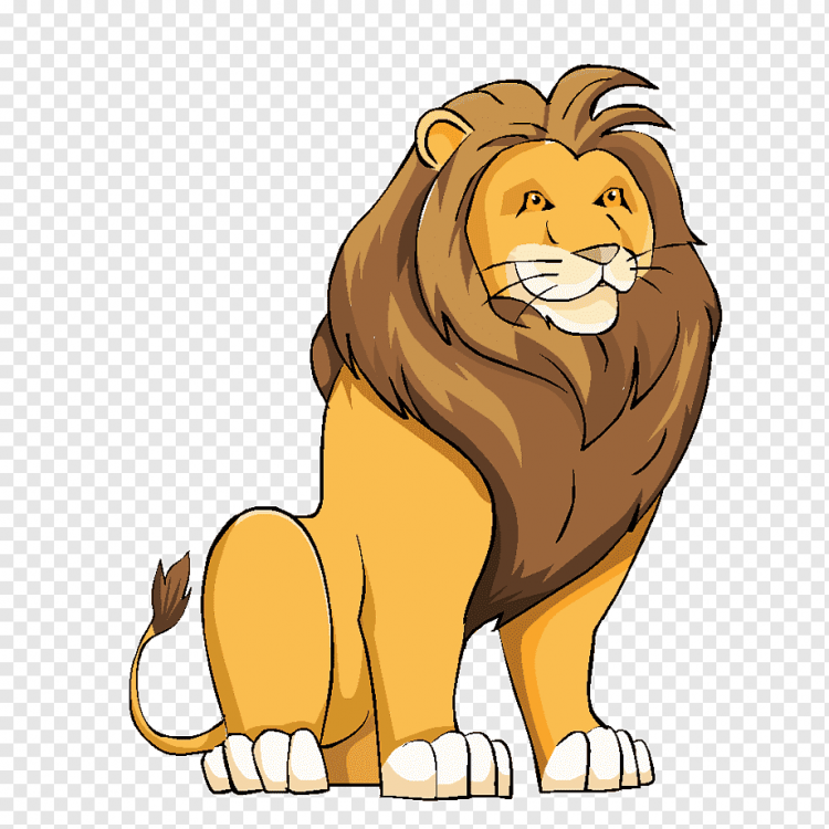 Как нарисовать сидящего льва