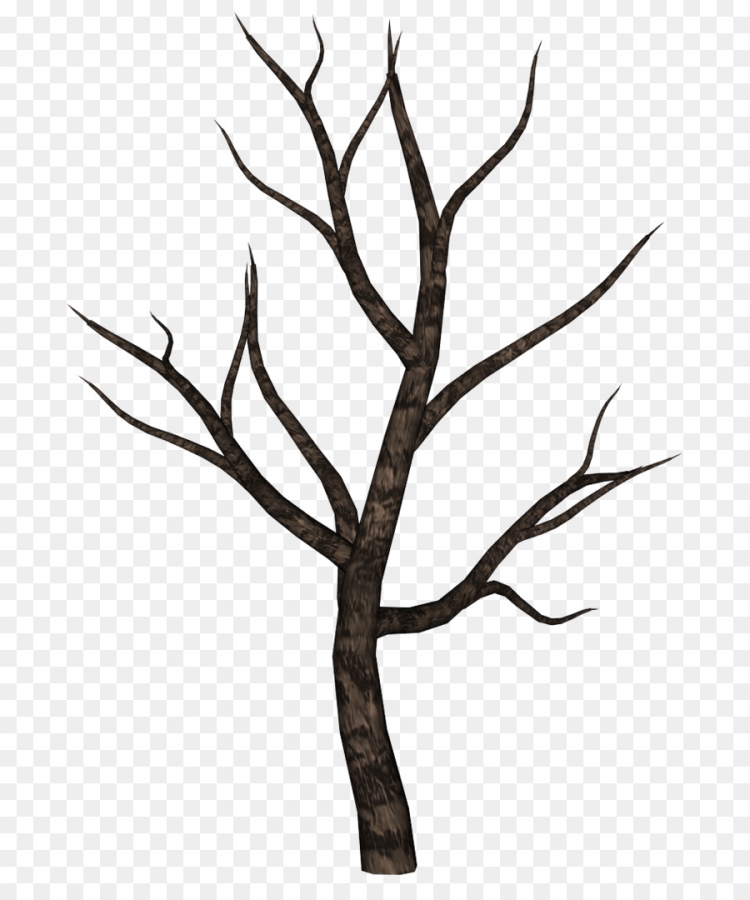 Как нарисовать сухое дерево
