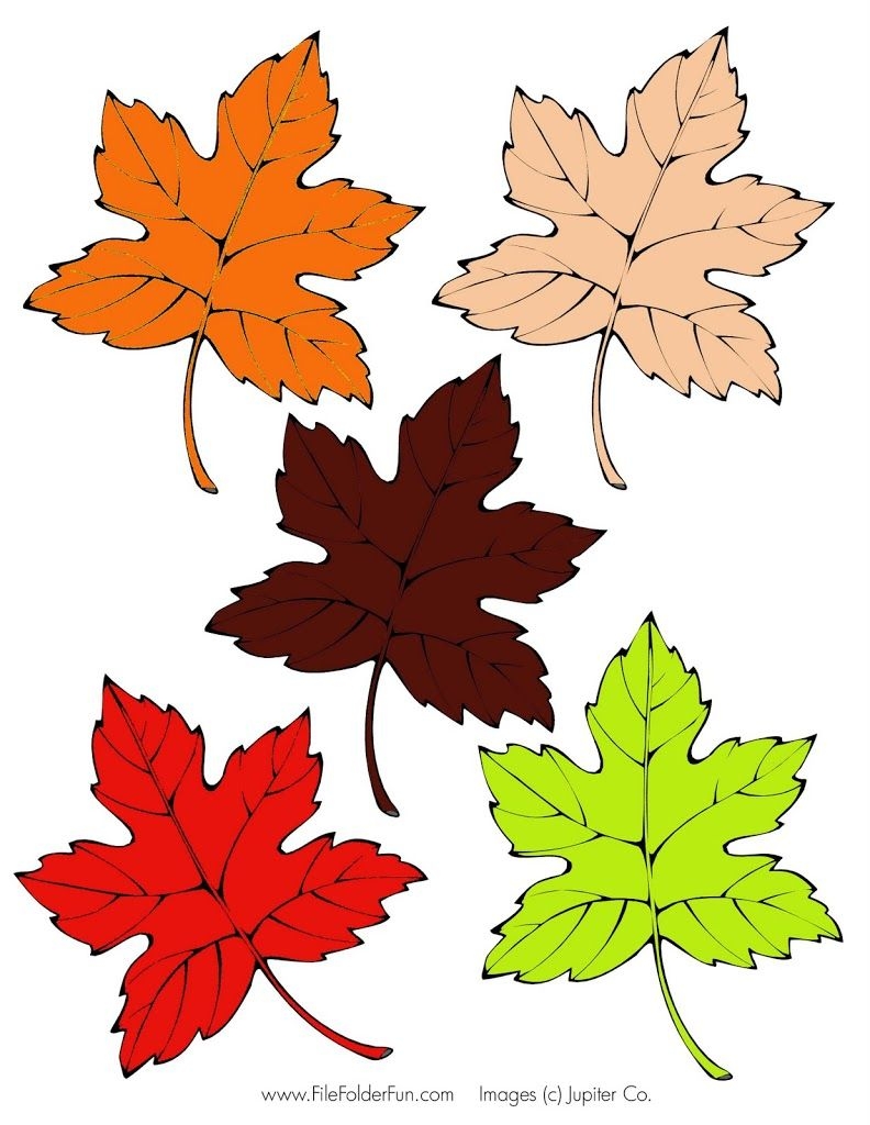 разноцветные листья картинки для детей