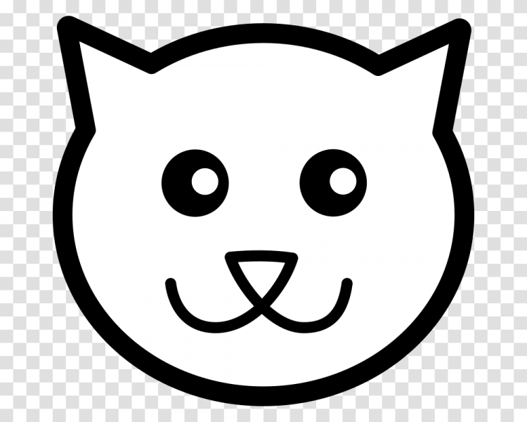 Кот выглядывает