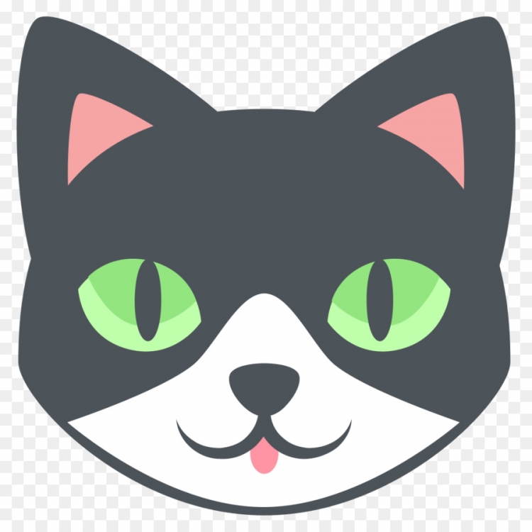 Мордочка котенка