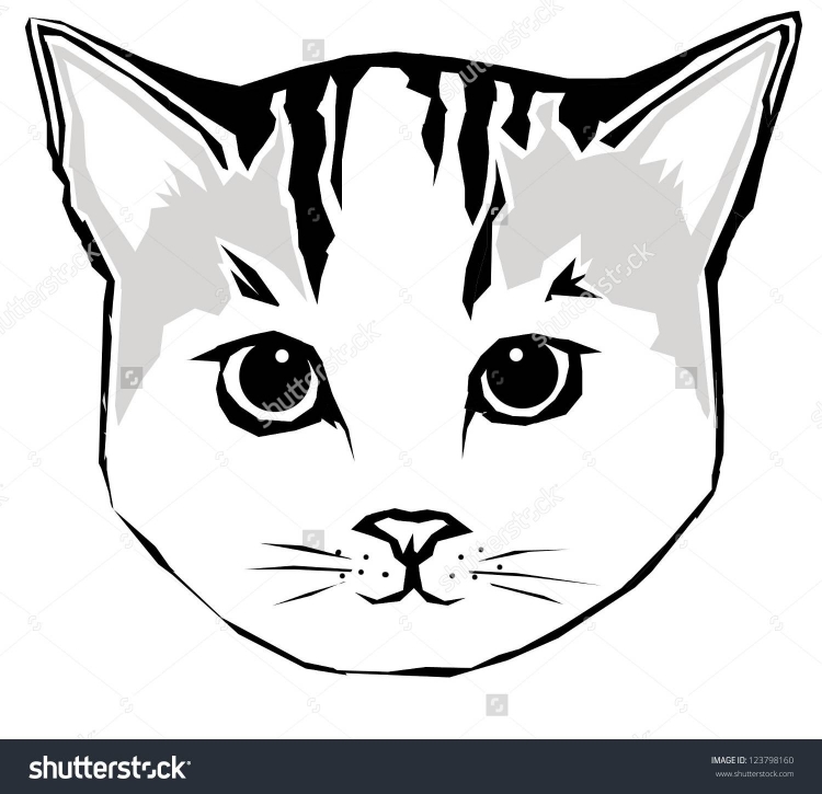 Морда черного кота на белом фоне