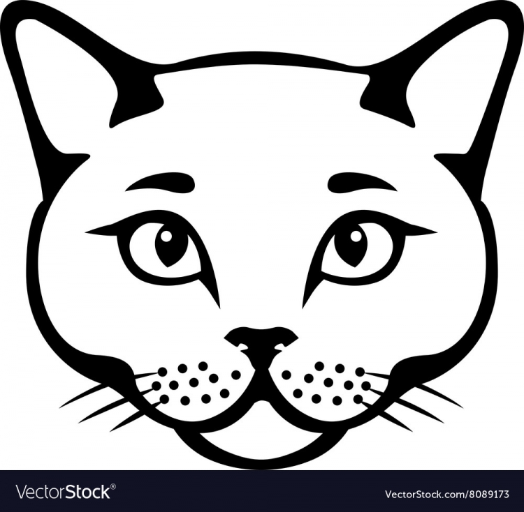 Котик символами