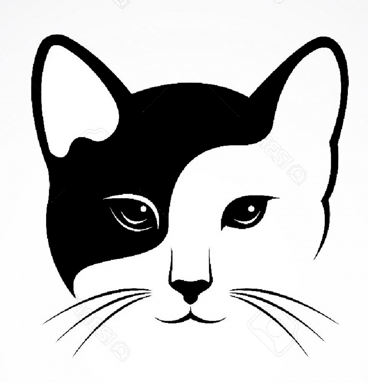 Мордочка котенка для выжигания