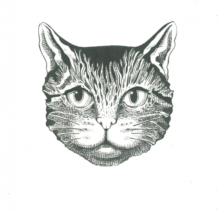 Нос кота вектор