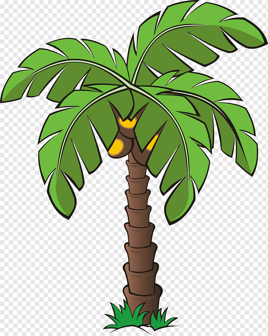 Пальма для срисовки