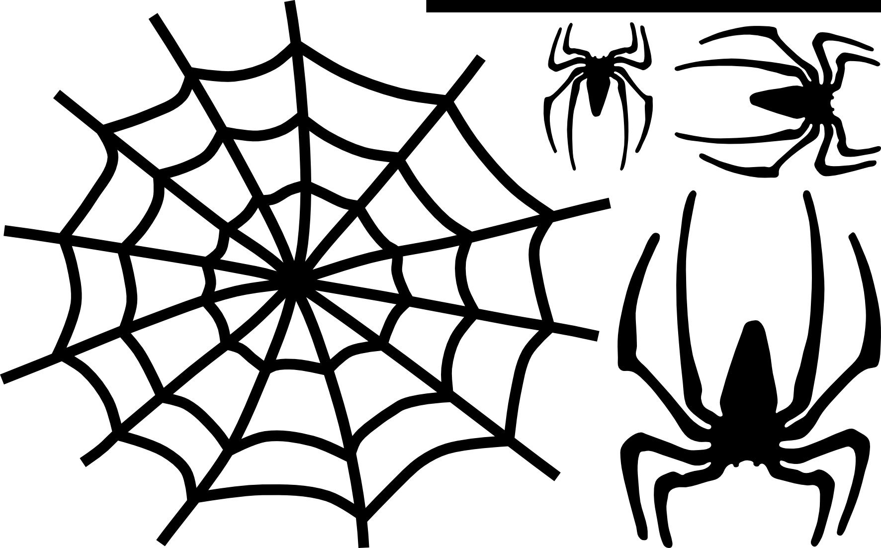 Паутина человека паука без паука. Человек паук паутина с пауком. Спайдермен паутина и паук. Путинка человек паук. Паук на паутине.