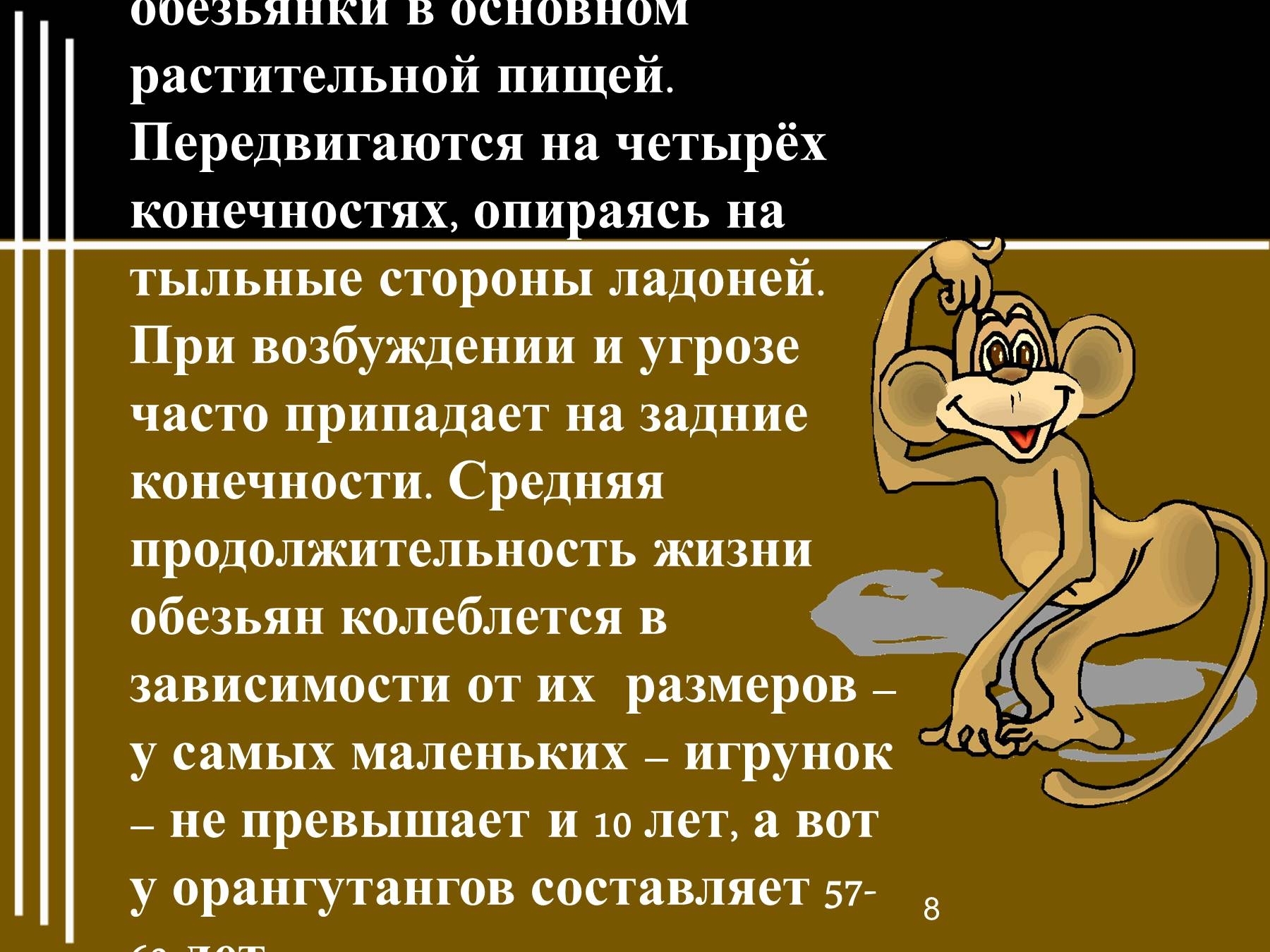 План текста про обезьянку