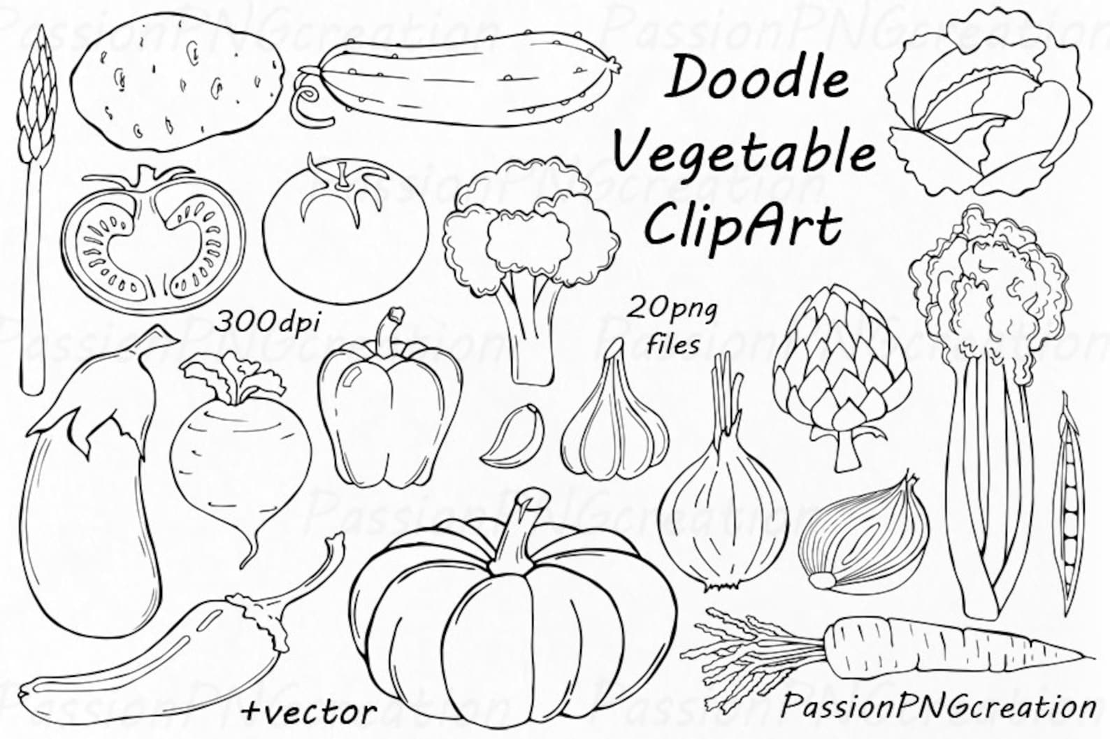 Овощи эскиз. Контурный рисунок овощи ai. Дудлинг овощи. Овощи картинки для детей. Овощи черное белые