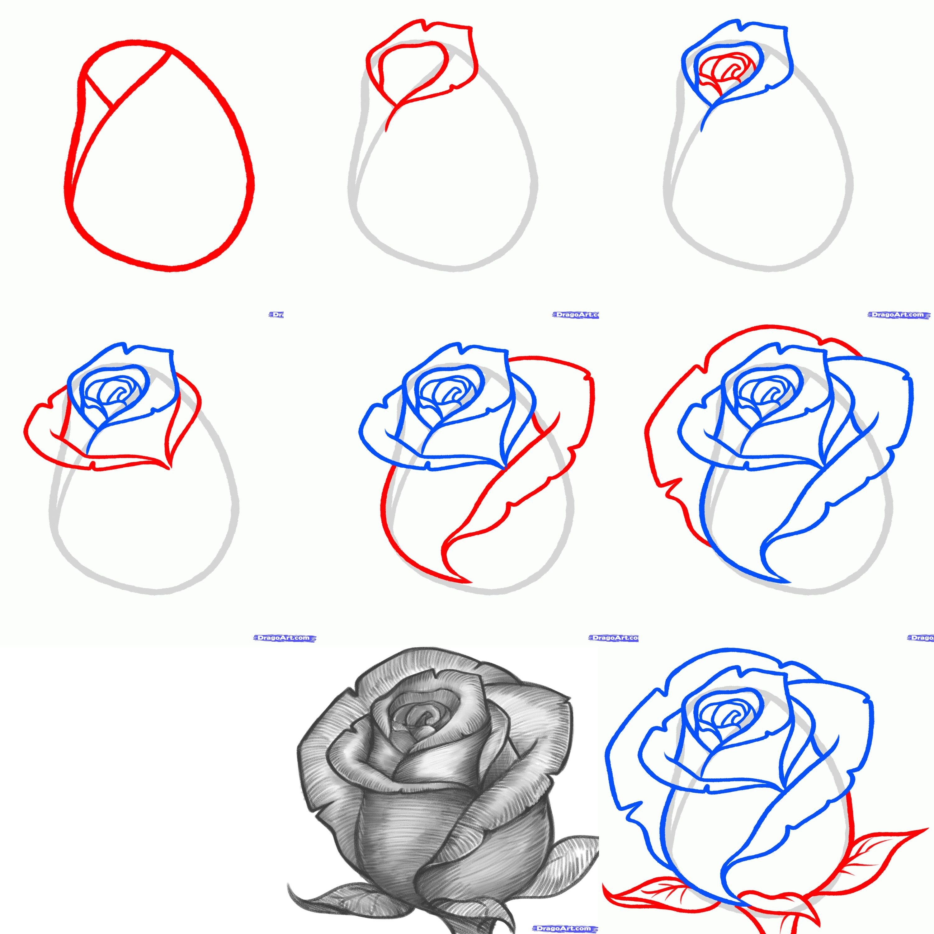 Как нарисовать розу карандашом?